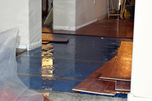 Professional Basement Flooding technician working in Woodstock, VA
